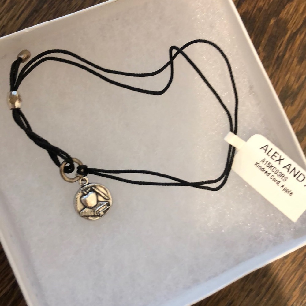 Alex and ani bracelet never worn